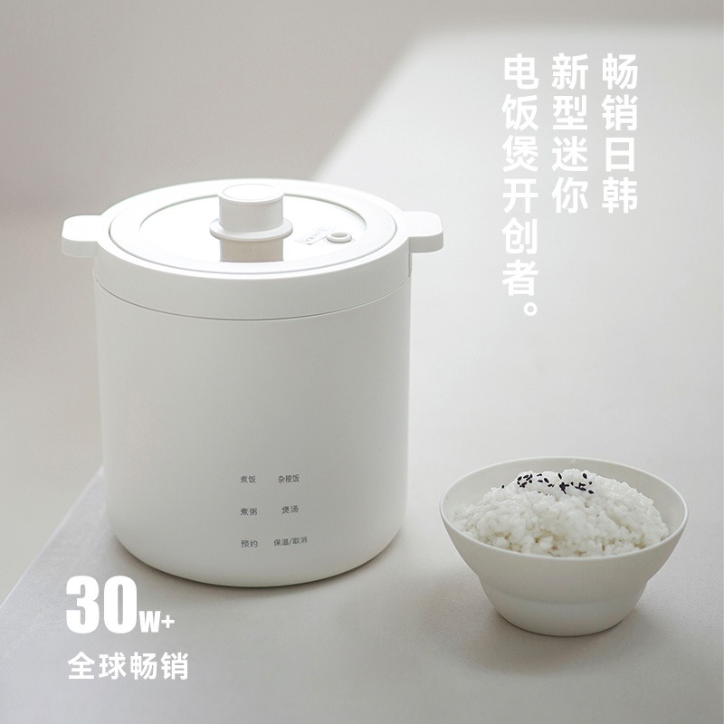 Mini-Hutförmiger Reiskocher Kl – Rice Cooker Bewertung und Preis