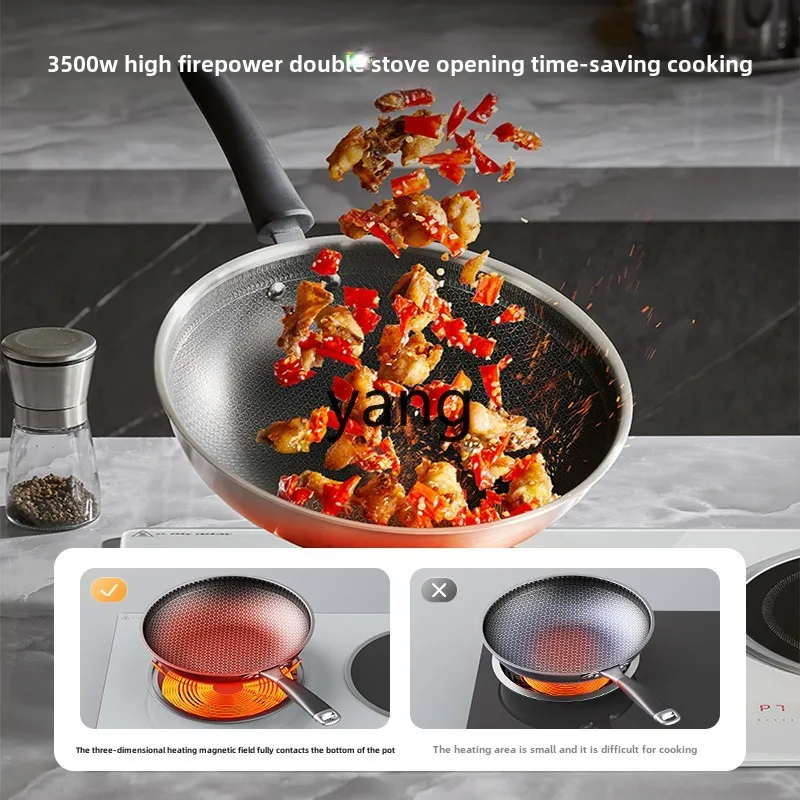 CX Platinum Diamond Induktions – Induction Cooker Bewertung und Preis