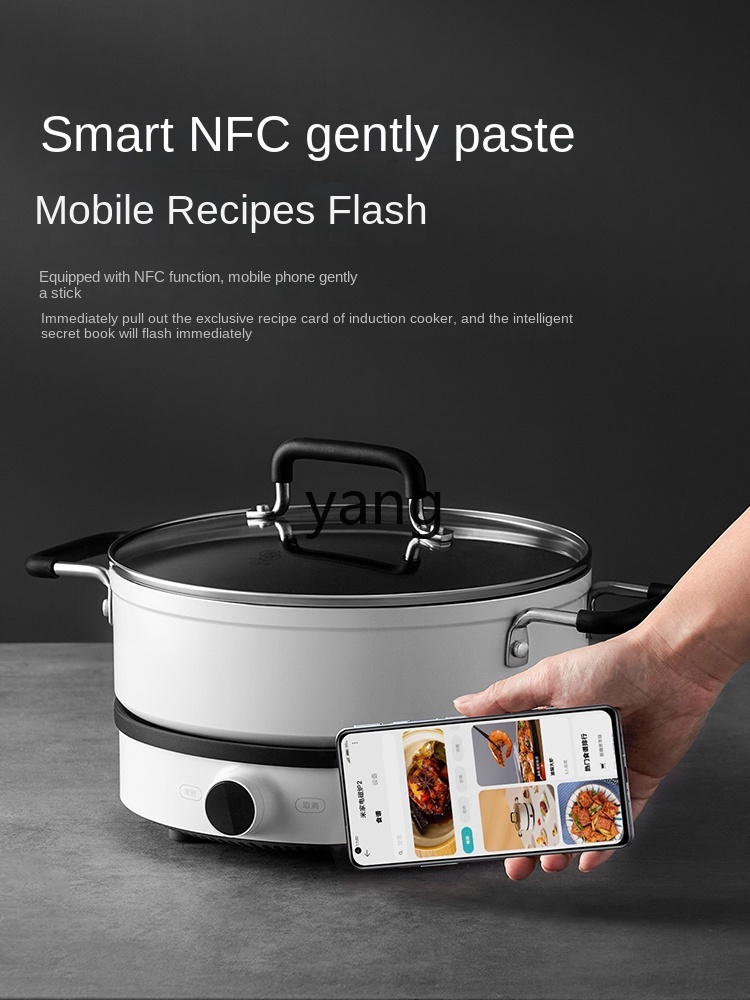LMM Induktionskochfeld für den – Induction Cooker Bewertung und Preis