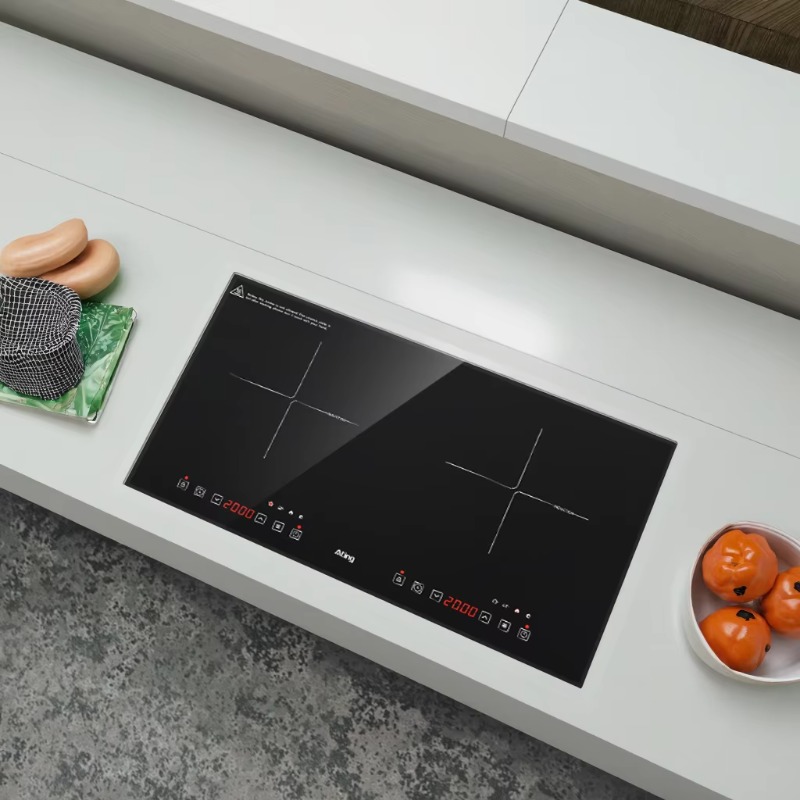 4400W Induktionskochfeld mit 2 – Induction Cooker Bewertung und Preis