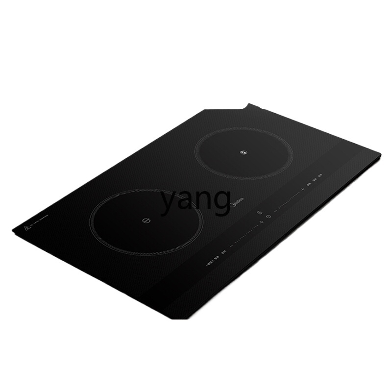 CX Induktionskochfeld, Doppelk – Induction Cooker Bewertung und Preis