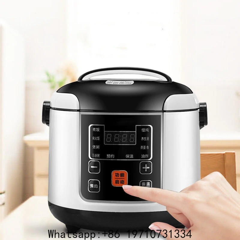 12V 24V Mini-Reiskocher für Au – Rice Cooker Bewertung und Preis