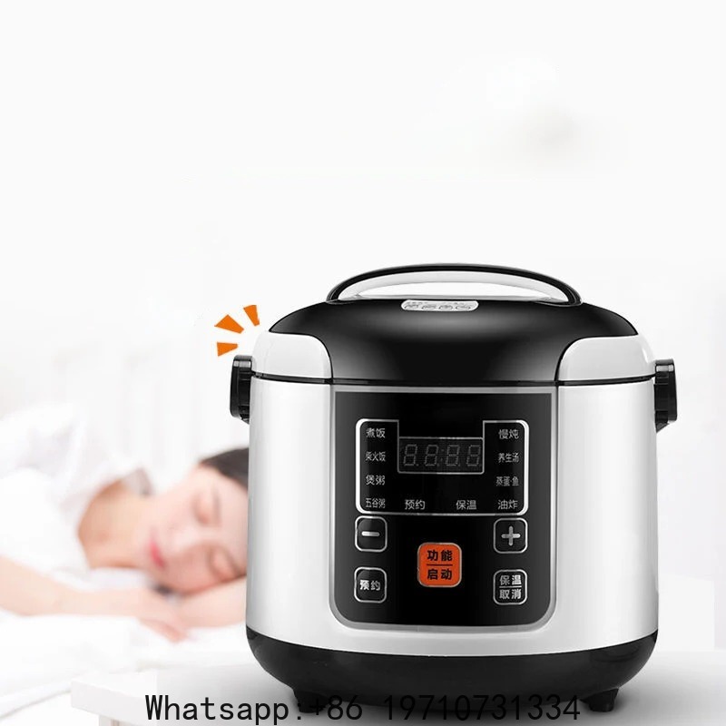 12V 24V Mini-Reiskocher für Au – Rice Cooker Bewertung und Preis