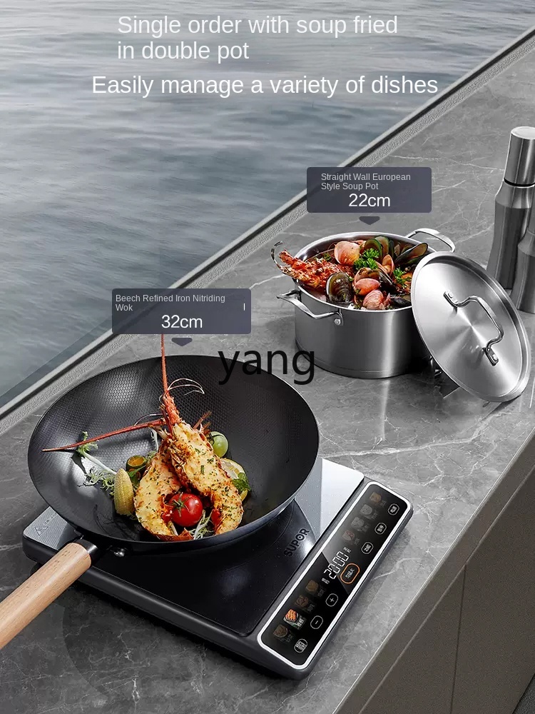 LMM Hochleistungs-2200W Hausha – Induction Cooker Bewertung und Preis